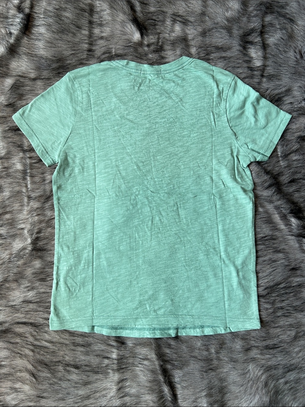 NEW Carve Designs Cassidy Graphic Tee Light Cilantro Rockies Organic Cotton S - Picture 5 of 9